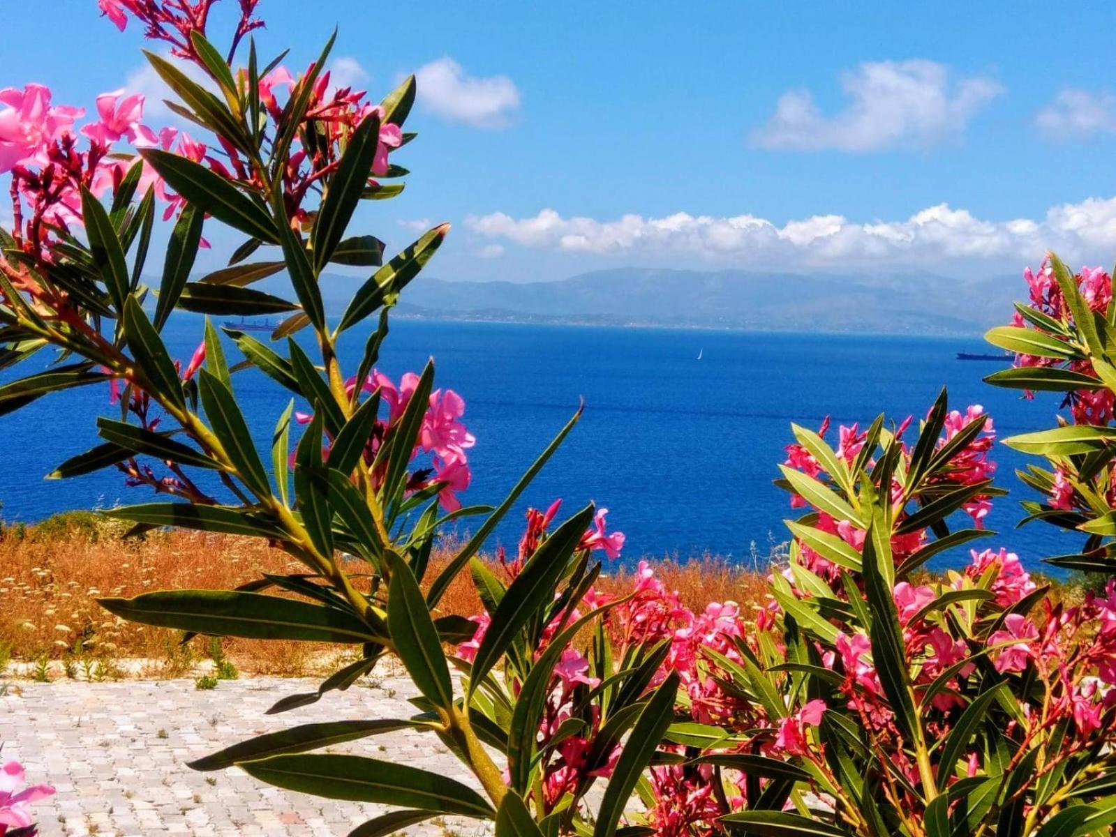 Mavi Panorama Villa Çeşme Exteriör bild