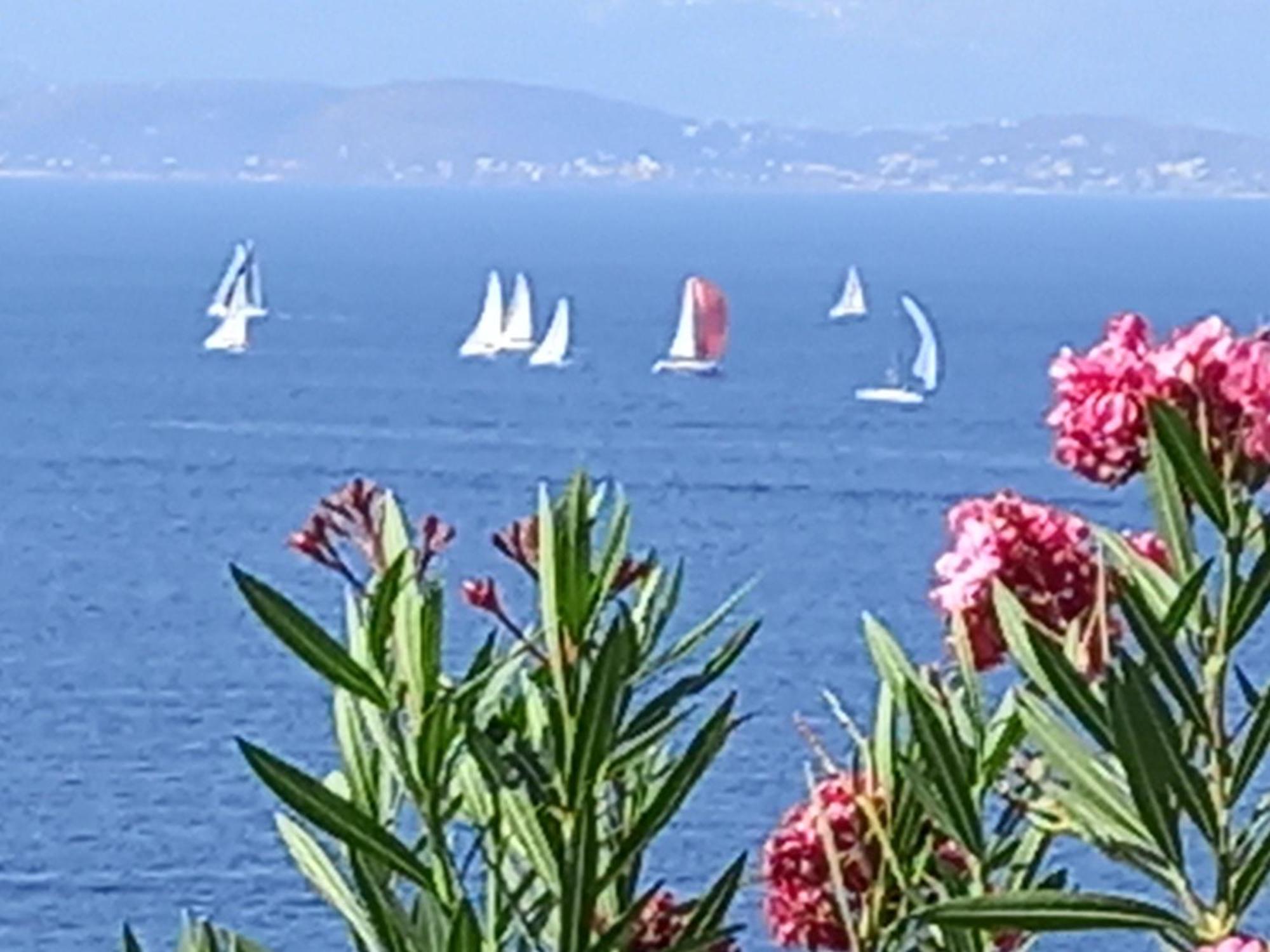 Mavi Panorama Villa Çeşme Exteriör bild