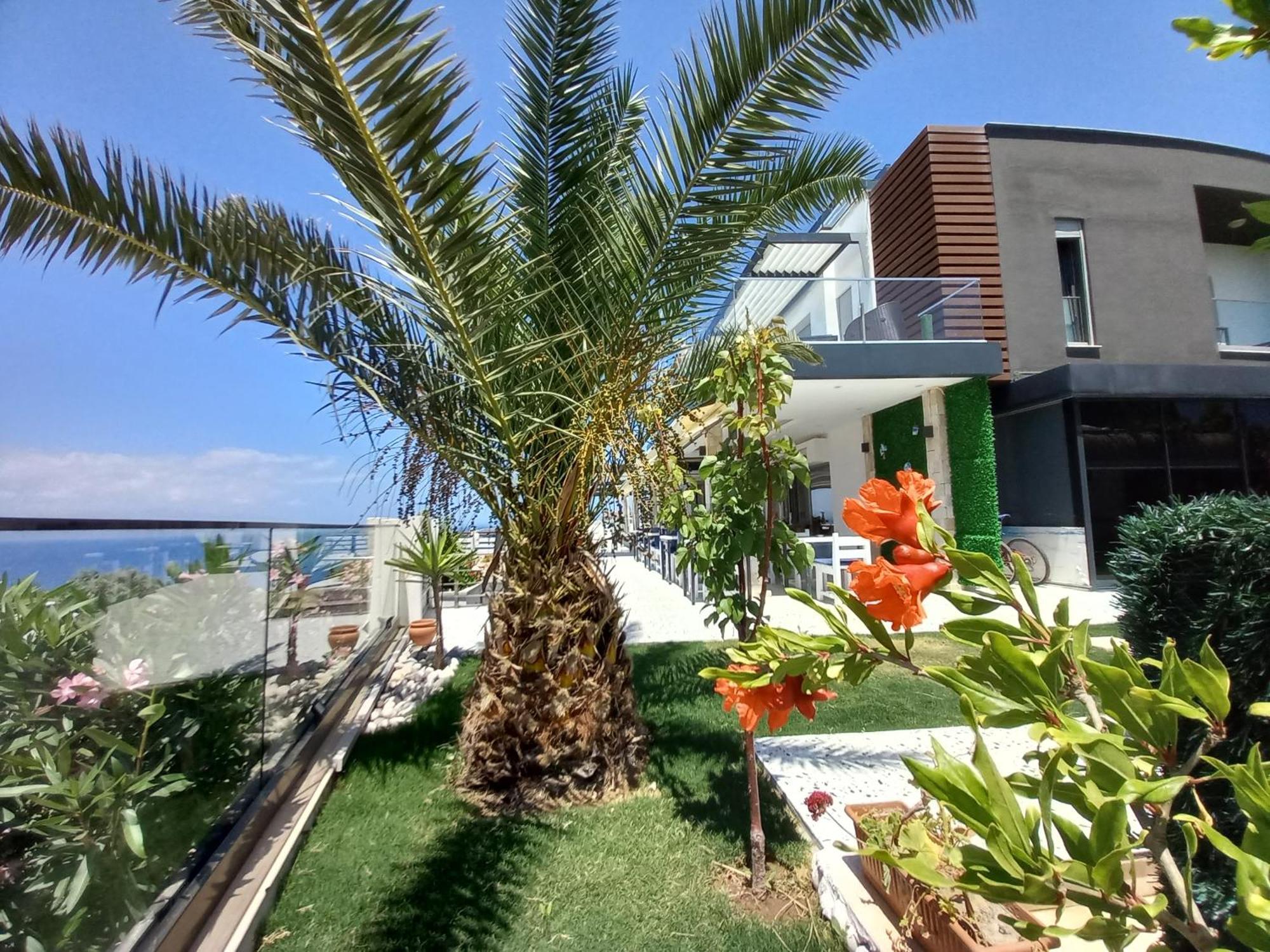 Mavi Panorama Villa Çeşme Exteriör bild